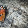 Peacock butterfly by Jan van der Knaap