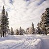 Sneeuw in Fins Lapland van Maria-Maaike Dijkstra