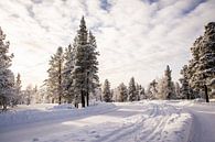 Sneeuw in Fins Lapland van Maria-Maaike Dijkstra thumbnail