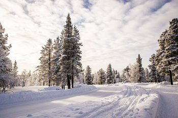 Sneeuw in Fins Lapland