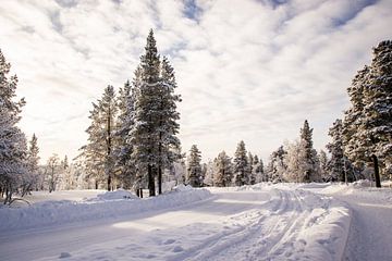 Sneeuw in Fins Lapland van Maria-Maaike Dijkstra