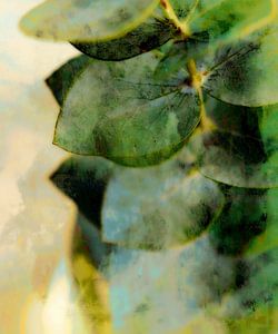 Eukalyptus Blatt Malerei