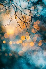 Branches in the light by Poster Art Shop