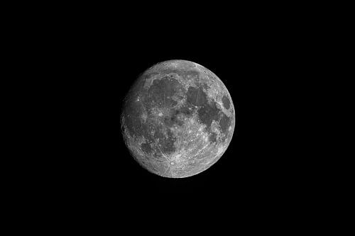 Zunehmender Gibbonmond