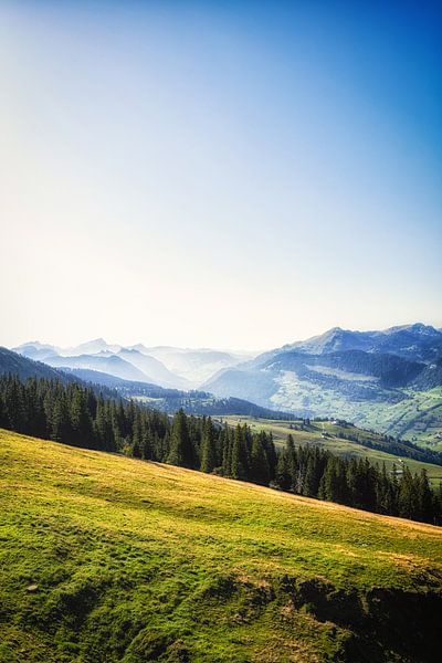 In Toggenburg by Nicc Koch