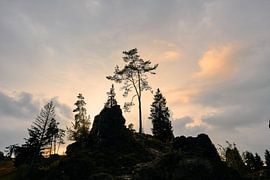 On the summit by Max Schiefele