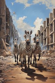 Straßen der Kontraste: Zebras und Beton