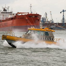 Die Ruderer im Waalhaven unterwegs von scheepskijkerhavenfotografie