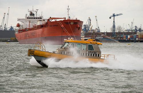 De roeiers in de Waalhaven onderweg