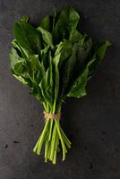 Bunch of spinach