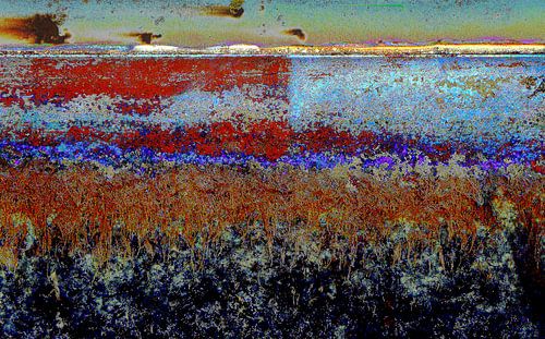 The Boschplaat on Terschelling by Ger Veuger