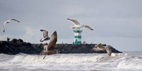 Scheveningen