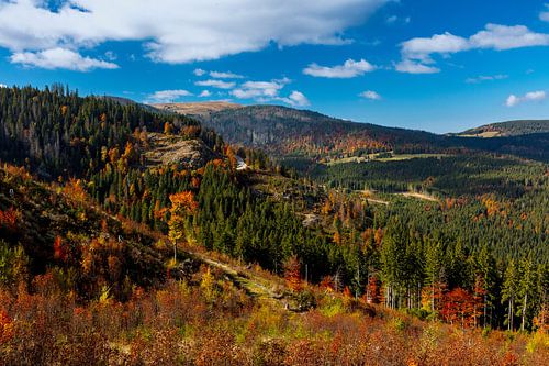 Herfstsfeer op de Feldberg in het Zwarte Woud