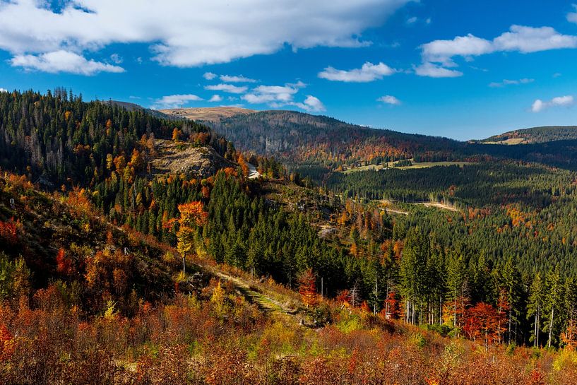 Autumn atmosphere on the Feldberg in the Black Forest by Jürgen Wiesler
