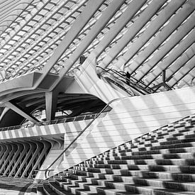 Liege Guillemins by Patrick Dreuning