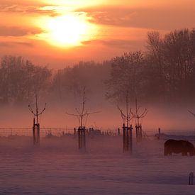 Winter zonsondergang von M.e. Amrani