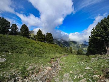 Alpen panorama van Marieke Funke