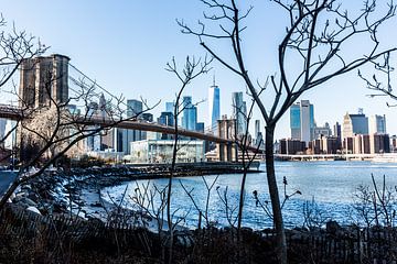 one world trade center en brooklyn brug  in New York in de winter van Eric van Nieuwland