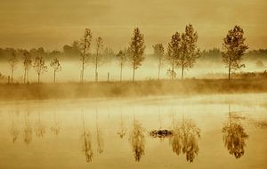 Matin brumeux sur Ilija Stanusic