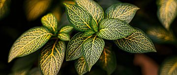 Grüne Blätter mit Muster – Nahaufnahme von Poster Art Shop