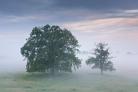 Vallée de l'Elbe sur Sven-Erik Arndt