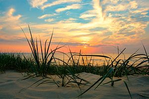 Coucher de soleil dans les dunes de la plage de la mer du Nord en Hollande du Nord. sur Sjoerd van der Wal Photographie