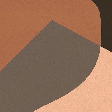 Organische en geometrische abstracte vormen nr. 5 van Dina Dankers
