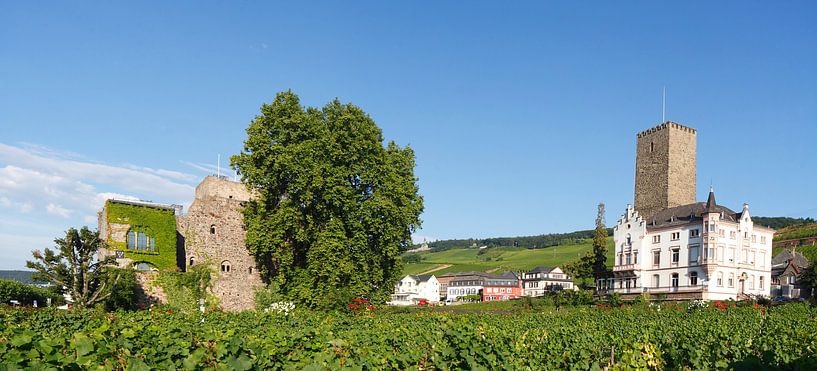 Ruedesheim on the Rhine : View of Brömserburg/Lower Castle and Boosenburg, Upper Castle by Torsten Krüger