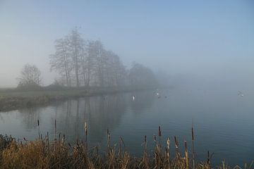 De Vilt in fog by Herman Peters