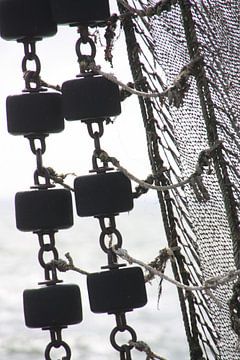 Through the net by Marianne van den Bogaerdt