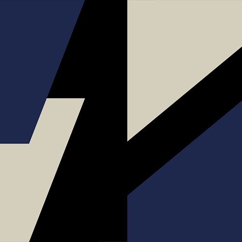 Blauw Zwart Wit Abstracte Vormen nr. 4