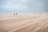 Storm, Zandstuiving op het strand van Scheveningen tijdens storm Eunic