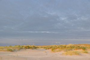 Strand und Dünen von Terschelling von Lydia