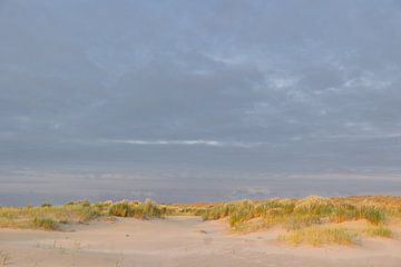 Strand en duinen van Terschelling van Lydia