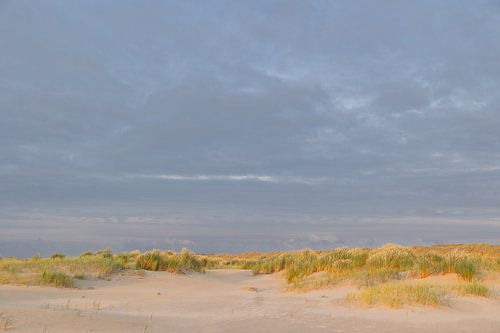 Strand und Dünen von Terschelling