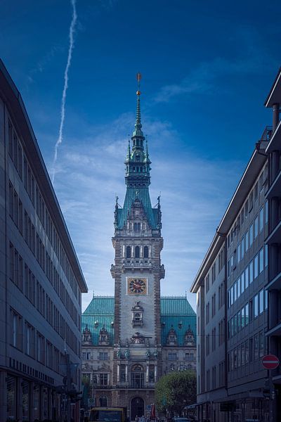 Deutschland, Hamburg, Rathaus von Ingo Boelter