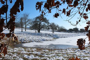 Besneeuwd winterlandschap bij Affligem, België van Imladris Images