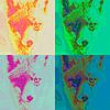 Vier artistieke vossen van Pierre Timmermans