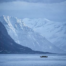 Safariboot mit den Sunnmøre-Alpen im Hintergrund bei Godøy, Ålesund, Norwegen von qtx