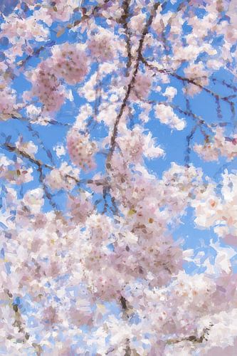 Sakura en fleurs dans un ciel bleu clair. sur WvH