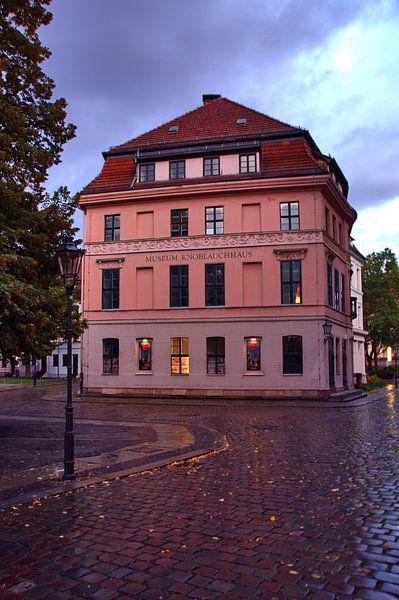 musée de l'ail par Edgar Schermaul