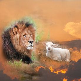 Le lion et l'agneau sur Marika Rentier