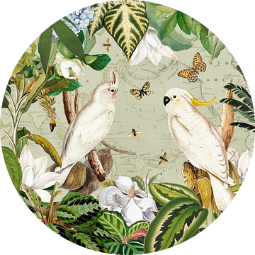 Tropische kaketoes en vlinders in het weelderige regenwoud van Floral Abstractions