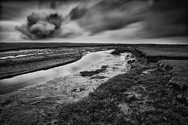 Wolkenexplosie boven het Nieuwlandsreid (zwart&wit) by Remco de Vries