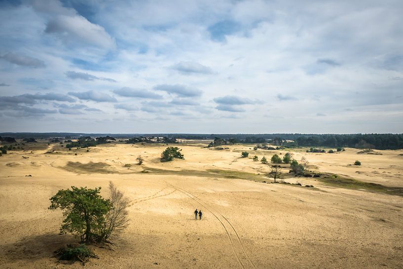 Kootwijker Sand von HvNunenfoto