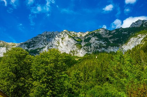 Randonnée en montagne