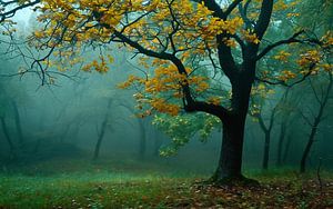 Spaziergang im Herbst