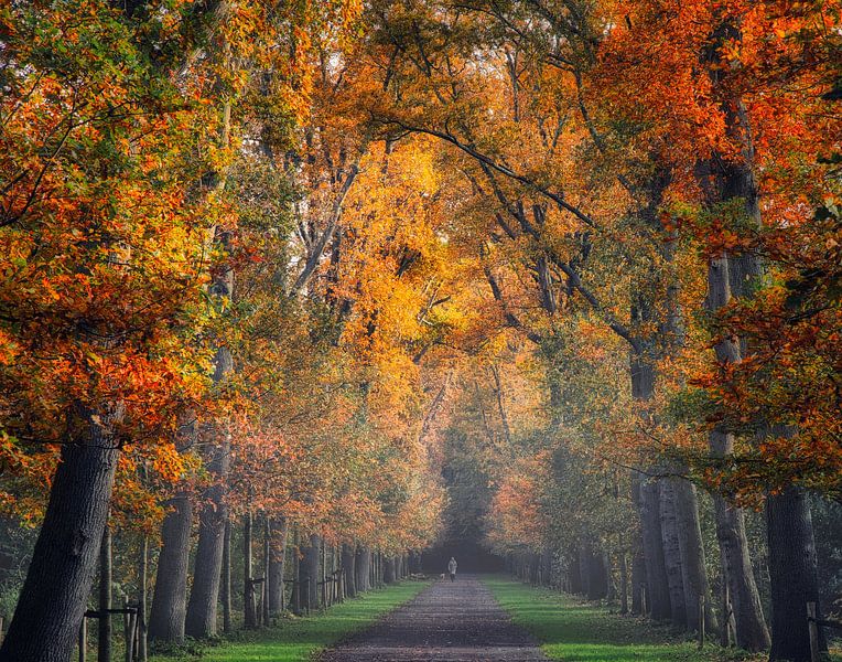 Stately driveway ter clouster in heiloo by peterheinspictures
