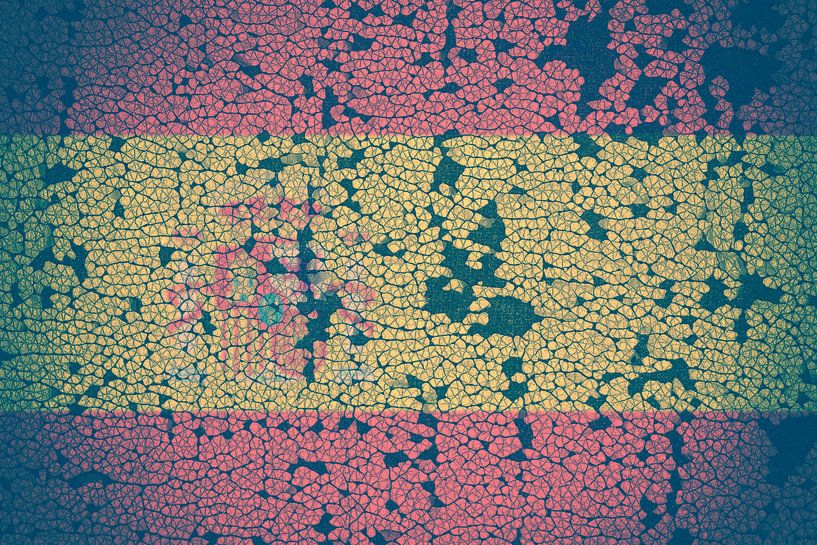 Vlag van Bo Valentino