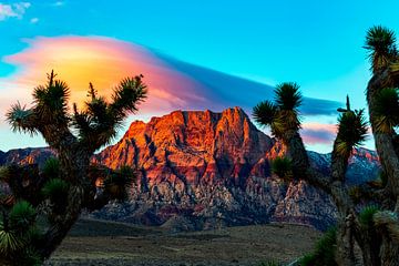 Red Rock zonsopgang Nevada van Doesburg Design